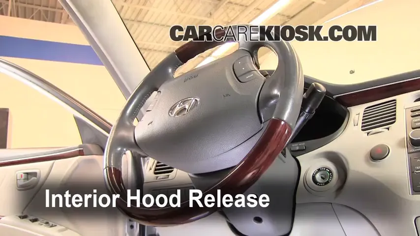 2007 Hyundai Azera SE 3.8L V6 Hood